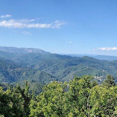 Gite De Combelebouze En Cevennes - Cosy, Confort Et Climatise - 3 Etoiles Saint-Privat-de-Vallongue Luaran gambar