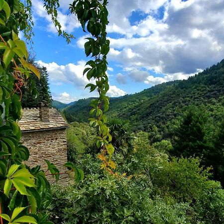 Gite De Combelebouze En Cevennes - Cosy, Confort Et Climatise - 3 Etoiles Saint-Privat-de-Vallongue Luaran gambar