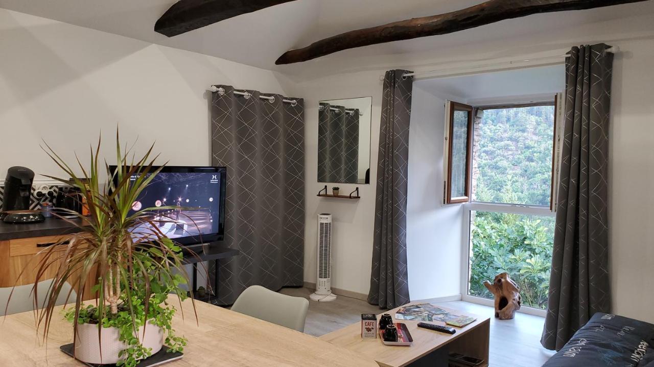 Gite De Combelebouze En Cevennes - Cosy, Confort Et Climatise - 3 Etoiles Saint-Privat-de-Vallongue Luaran gambar