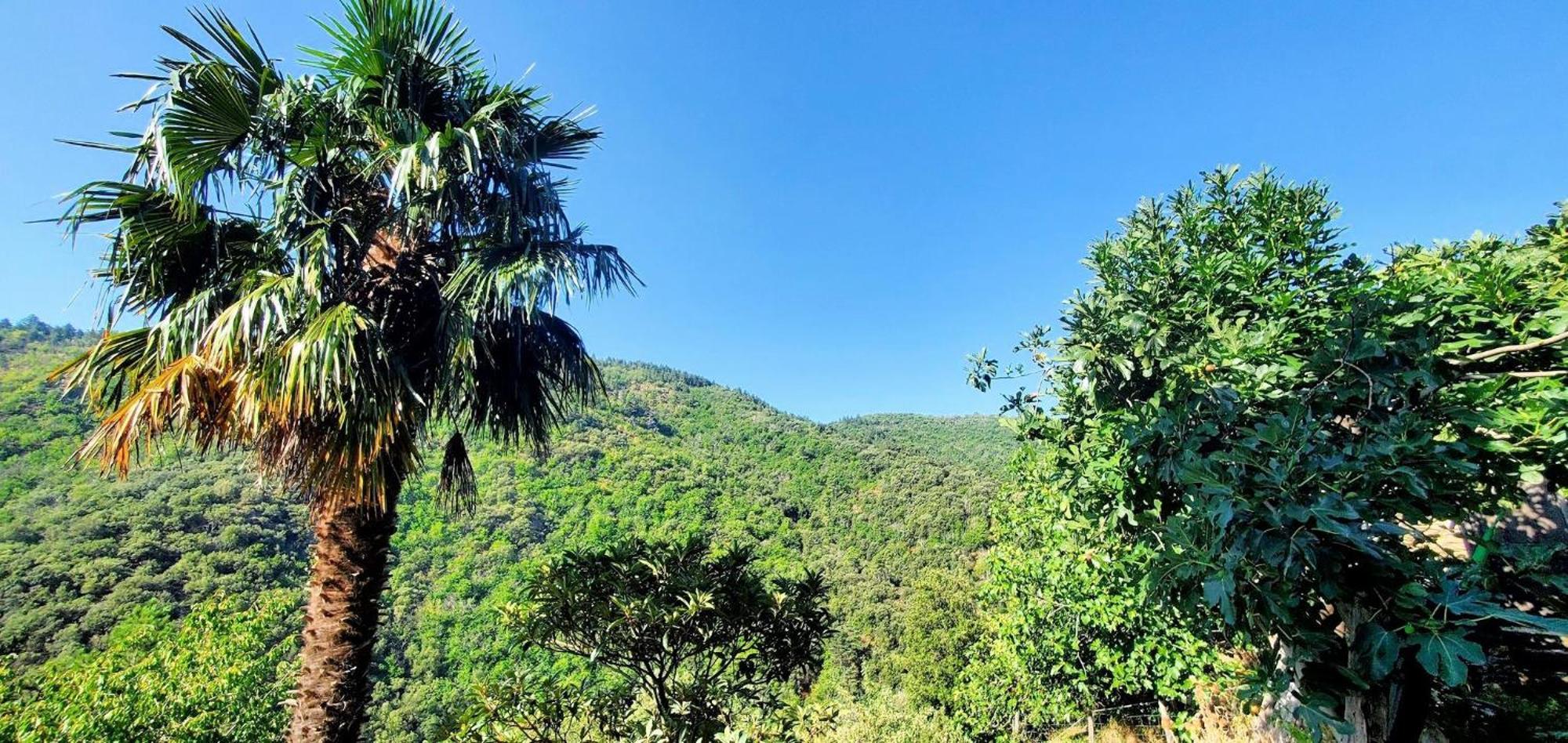 Gite De Combelebouze En Cevennes - Cosy, Confort Et Climatise - 3 Etoiles Saint-Privat-de-Vallongue Luaran gambar