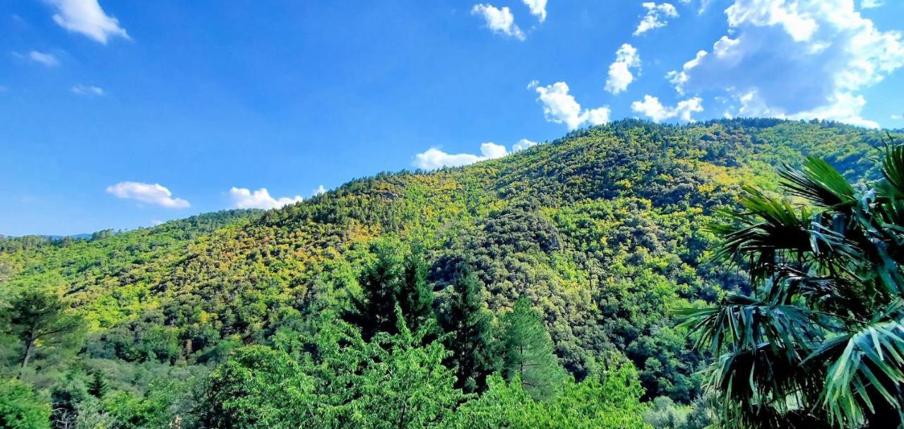 Gite De Combelebouze En Cevennes - Cosy, Confort Et Climatise - 3 Etoiles Saint-Privat-de-Vallongue Luaran gambar