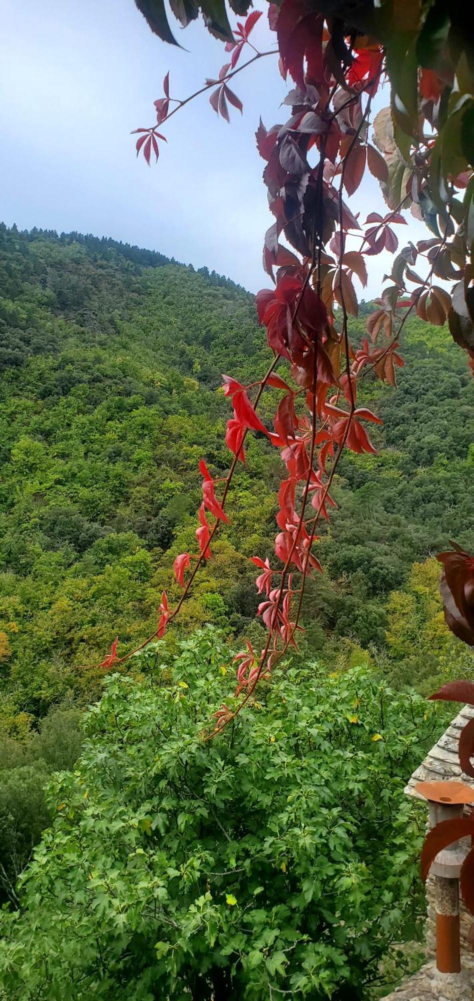 Gite De Combelebouze En Cevennes - Cosy, Confort Et Climatise - 3 Etoiles Saint-Privat-de-Vallongue Luaran gambar