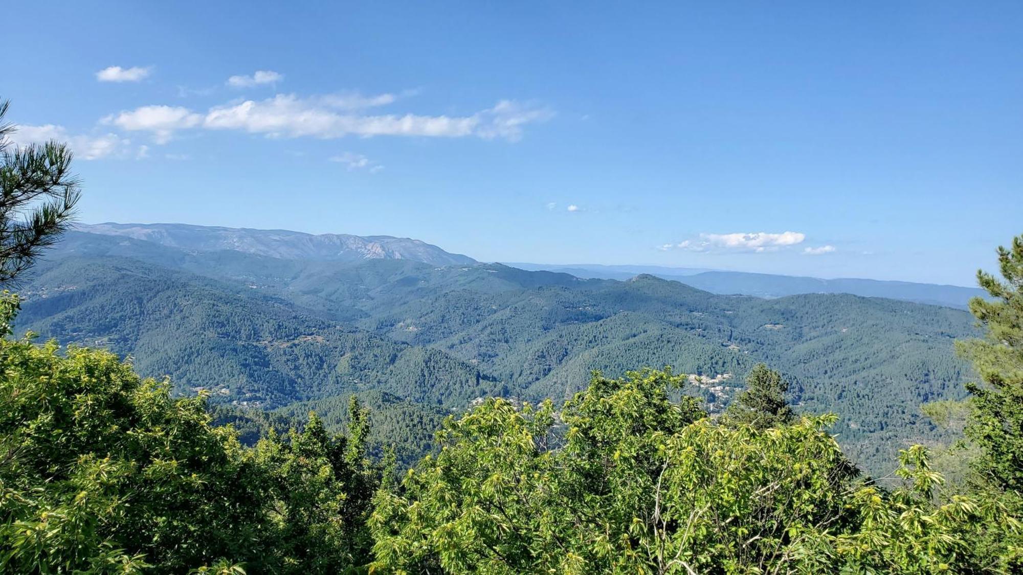 Gite De Combelebouze En Cevennes - Cosy, Confort Et Climatise - 3 Etoiles Saint-Privat-de-Vallongue Luaran gambar
