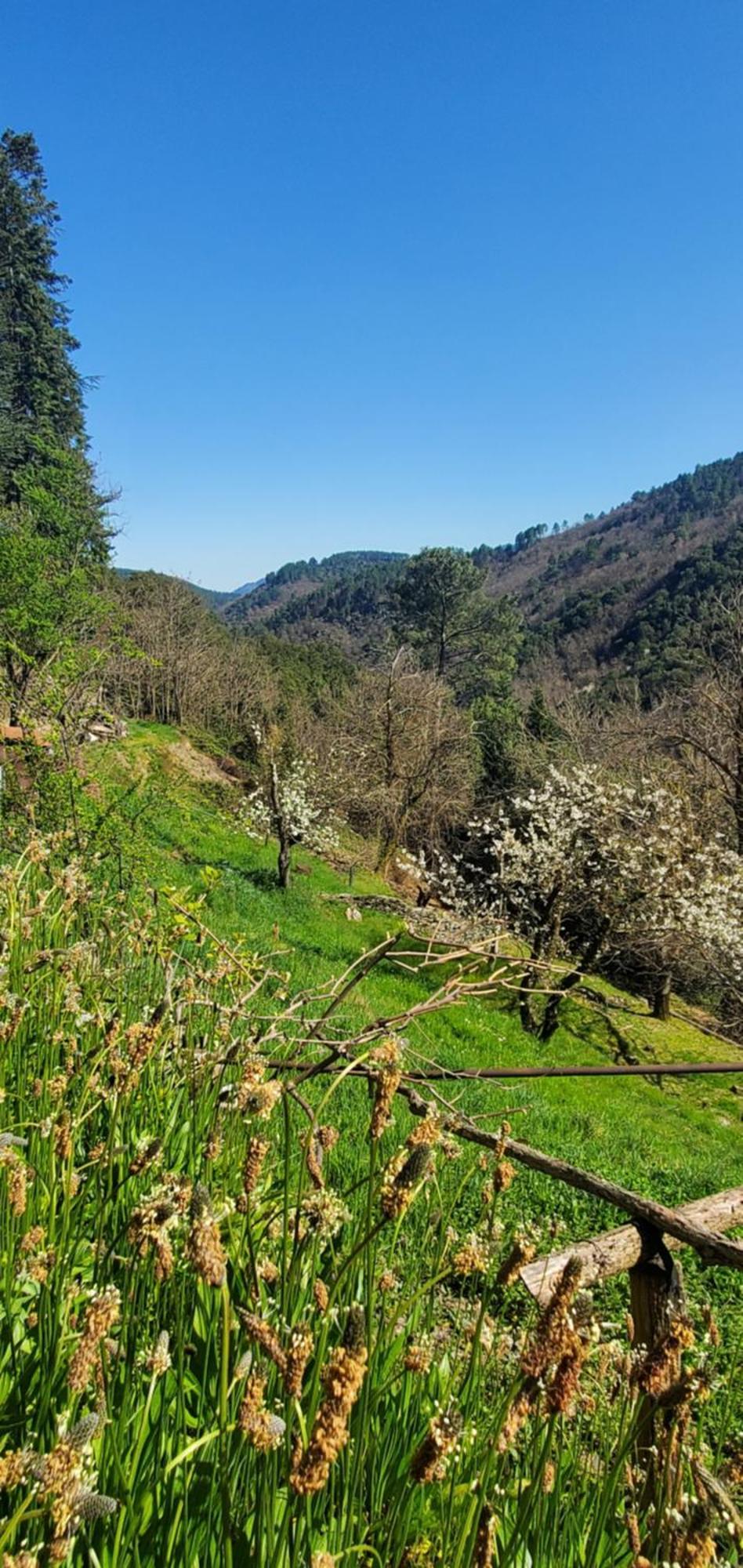 Gite De Combelebouze En Cevennes - Cosy, Confort Et Climatise - 3 Etoiles Saint-Privat-de-Vallongue Luaran gambar