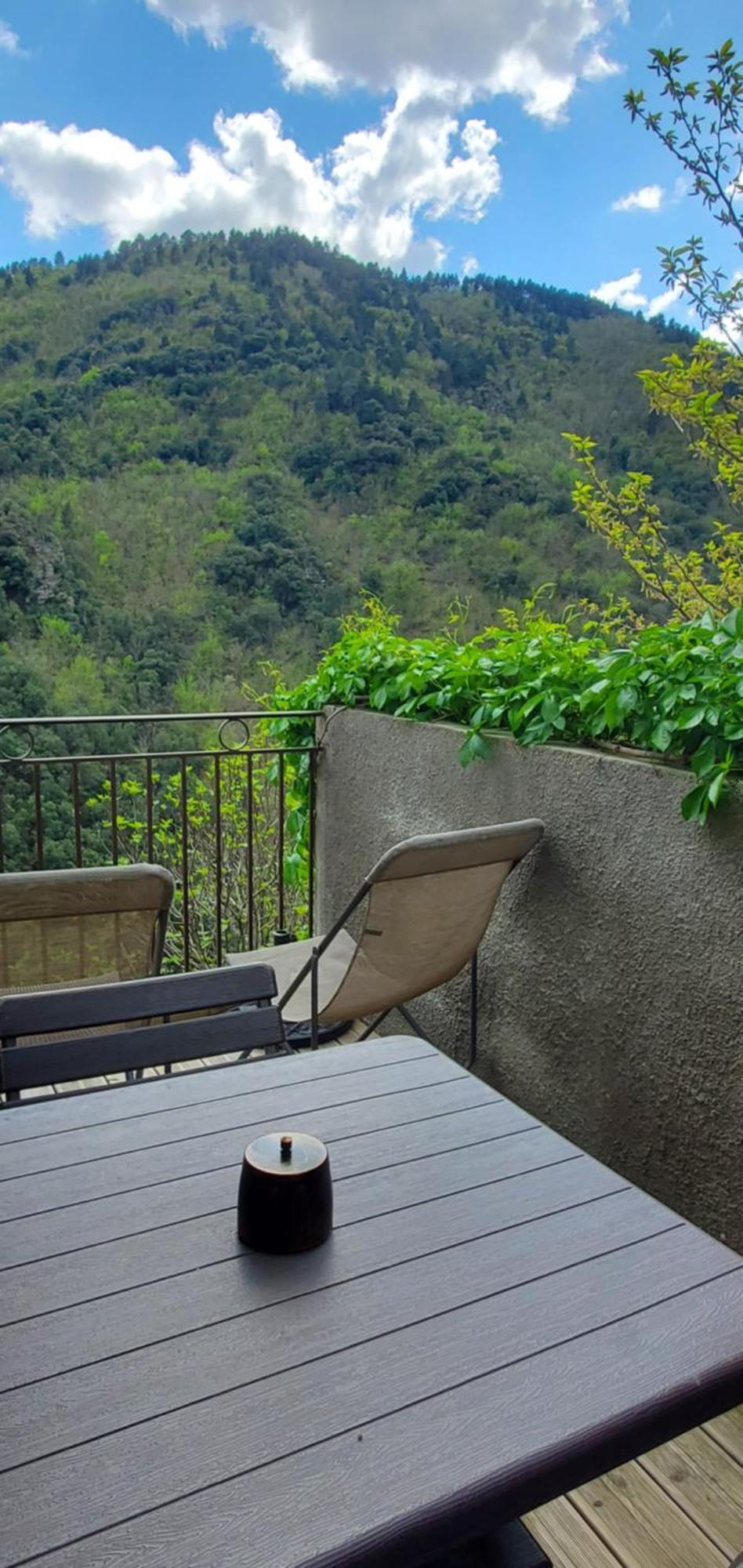 Gite De Combelebouze En Cevennes - Cosy, Confort Et Climatise - 3 Etoiles Saint-Privat-de-Vallongue Luaran gambar